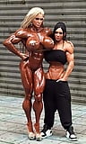 fbb and sexy hardbodies